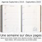 Agenda Scolaire 2018-19 Anticipation Midi 12x17 - 13 mois (Sept. 2018 à Sept. 2019)