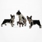 Figurine Miniature - 3 Chiens - Race Bulldog - Porcelaine