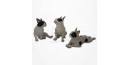 Figurine Miniature - 3 Chiens - Race Bulldog - Porcelaine