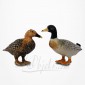 Figurine Miniature - 2 Canards Colvert - Porcelaine