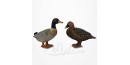 Figurine Miniature - 2 Canards Colvert - Porcelaine