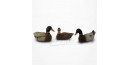 Figurine Miniature - 3 Canards Colvert nageant - Porcelaine