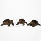 Figurine Miniature - 3 Tortues Hermann - Porcelaine