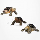 Figurine Miniature - 3 Tortues Hermann - Porcelaine