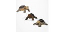 Figurine Miniature - 3 Tortues Hermann - Porcelaine