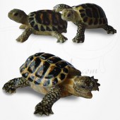 Figurine Miniature - 3 Jeunes Tortues Hermann - Porcelaine