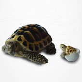 Figurine Miniature - Tortue Hermann et bébé tortue - Porcelaine