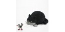 Chat Dubout - Attrape-moi!