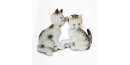 Chat Dubout - Les Confidences