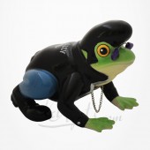 Grenouille Cool