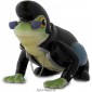 Grenouille Cool