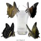 Figurine Miniature - 4 Papillons - Porcelaine