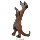 Suricate - Gardien du désert